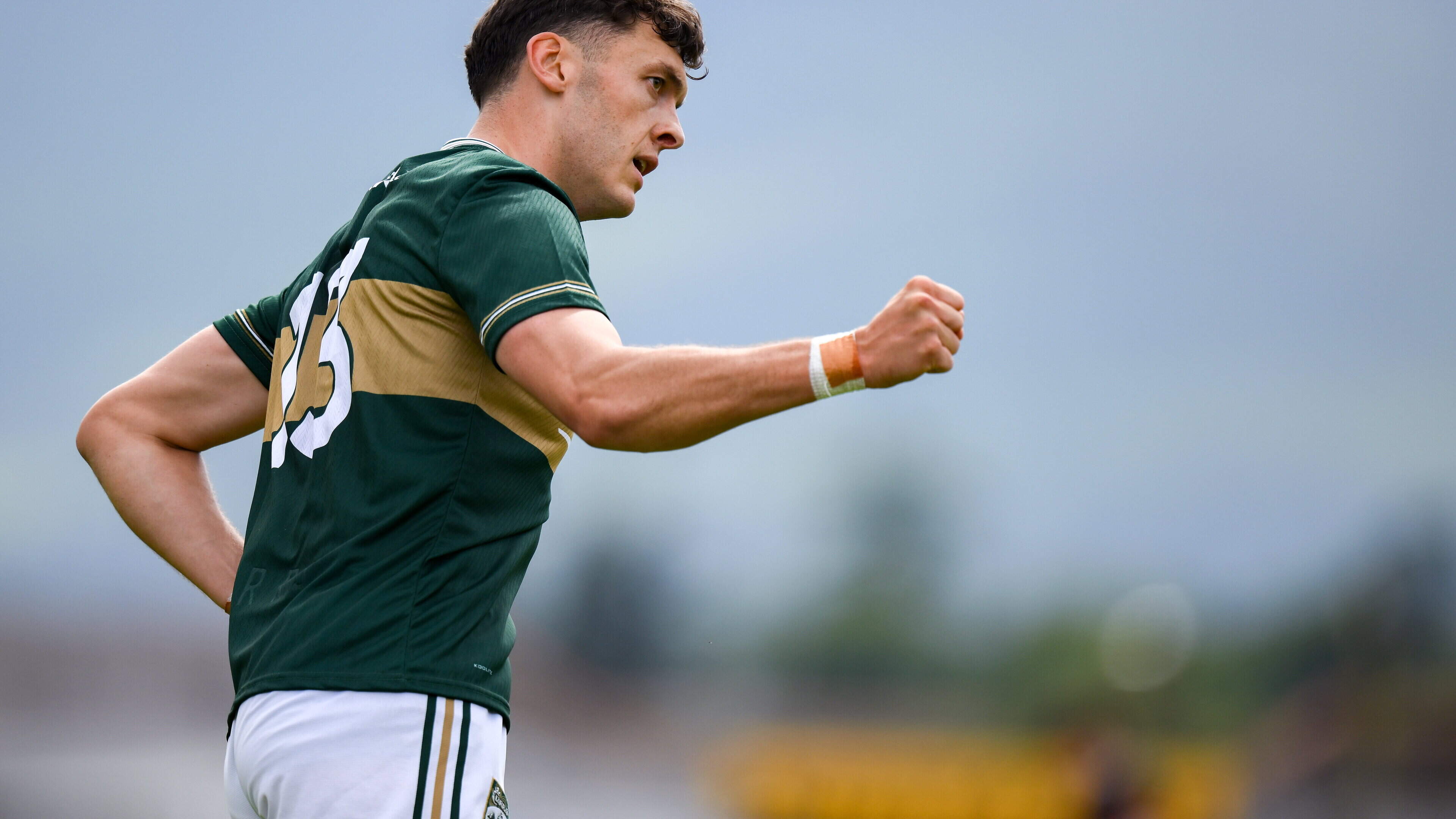 Kerry fans get special train to All-Ireland Quarter-Final after fixture concerns